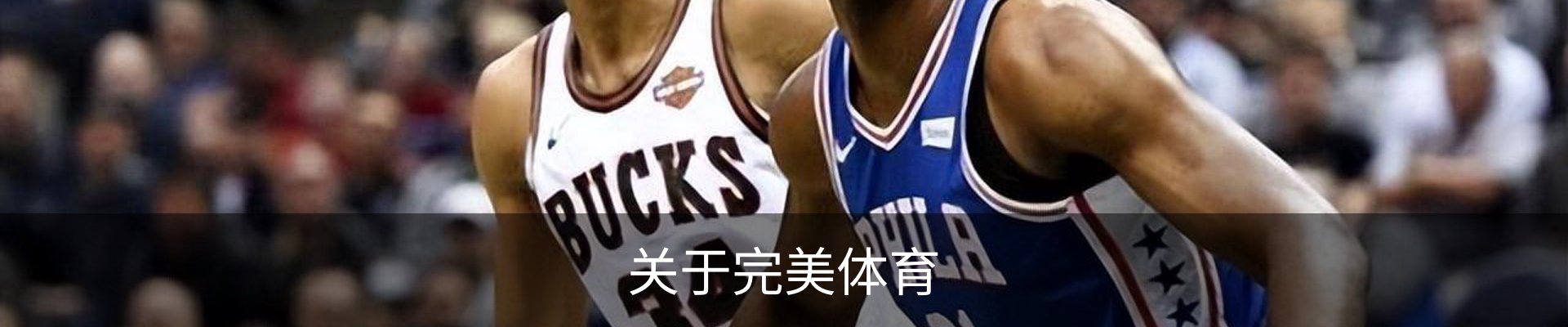 关于完美体育